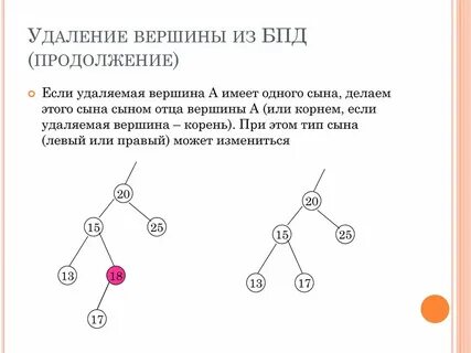 C вершина дерева
