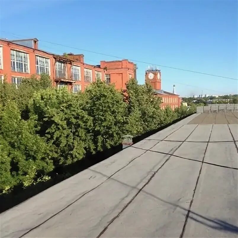 Красный Перекоп