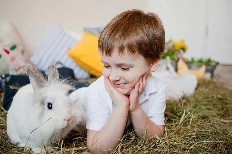 Как играть с кроликом. Кролик мальчик. кролик для детей. фотосессия с кроликом дети. фотосессия с кроликами детская.