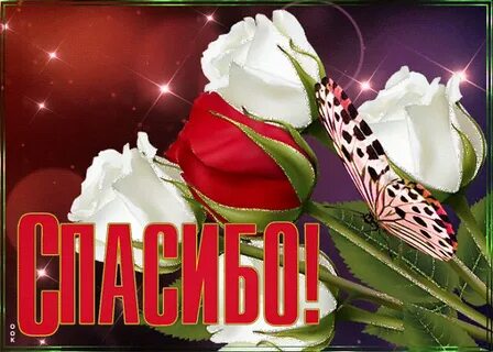 Ок спасибо