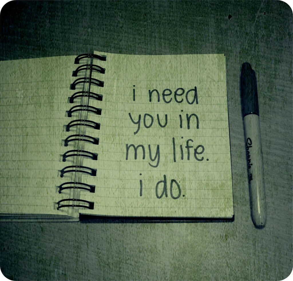 I need you картинки. Надпись i need you. I want you i need you i Love you. I need you открытка. This life you need