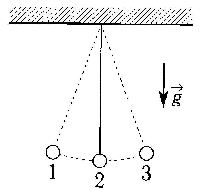 Маятник совершает свободное колебание. Колебание груза подвешенного на нити. Силы действующие на груз на нити. Шарик на нити. Грузик подвешенный на нити.