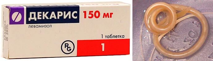Гельминты декарис. Гельминты декарис. Лекарство от глистов для детей декарис. Гельминты декарис. Декарис тб 50мг n 2.