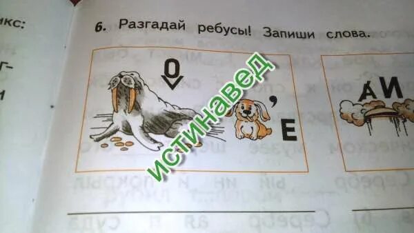 Разгадай ребусы запиши имена. Разгадай ребусы запиши слова. Разгадайте ребусы и запишите.. Разгадай ребусы и запиши названия. Ребус морж.