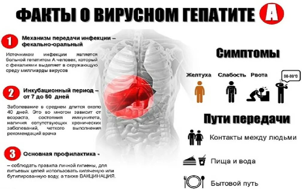 Гепатит отзывы людей. Профилактика гепатита с. Вирус гепатита в. Гепатит с буклет. Факты о гепатите.