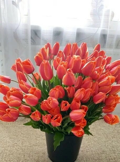 сколько тюльпанов в букете на 8