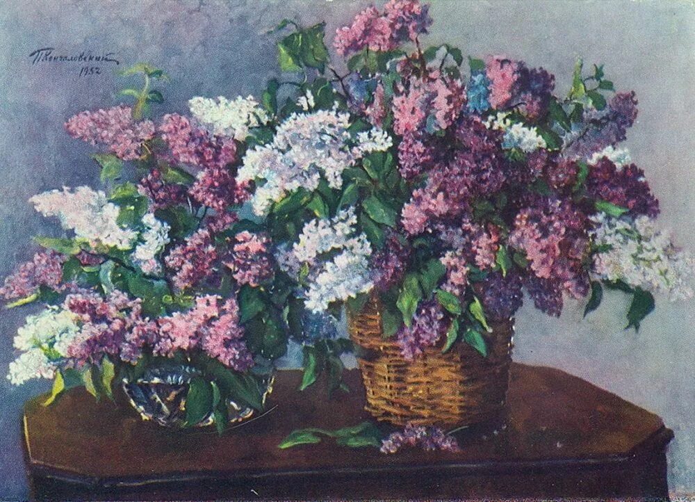 Кончаловский художник сирень в корзине. П п кончаловский сирень в корзине. Картина кончаловского сирень. Кончаловский художник сирень. ).