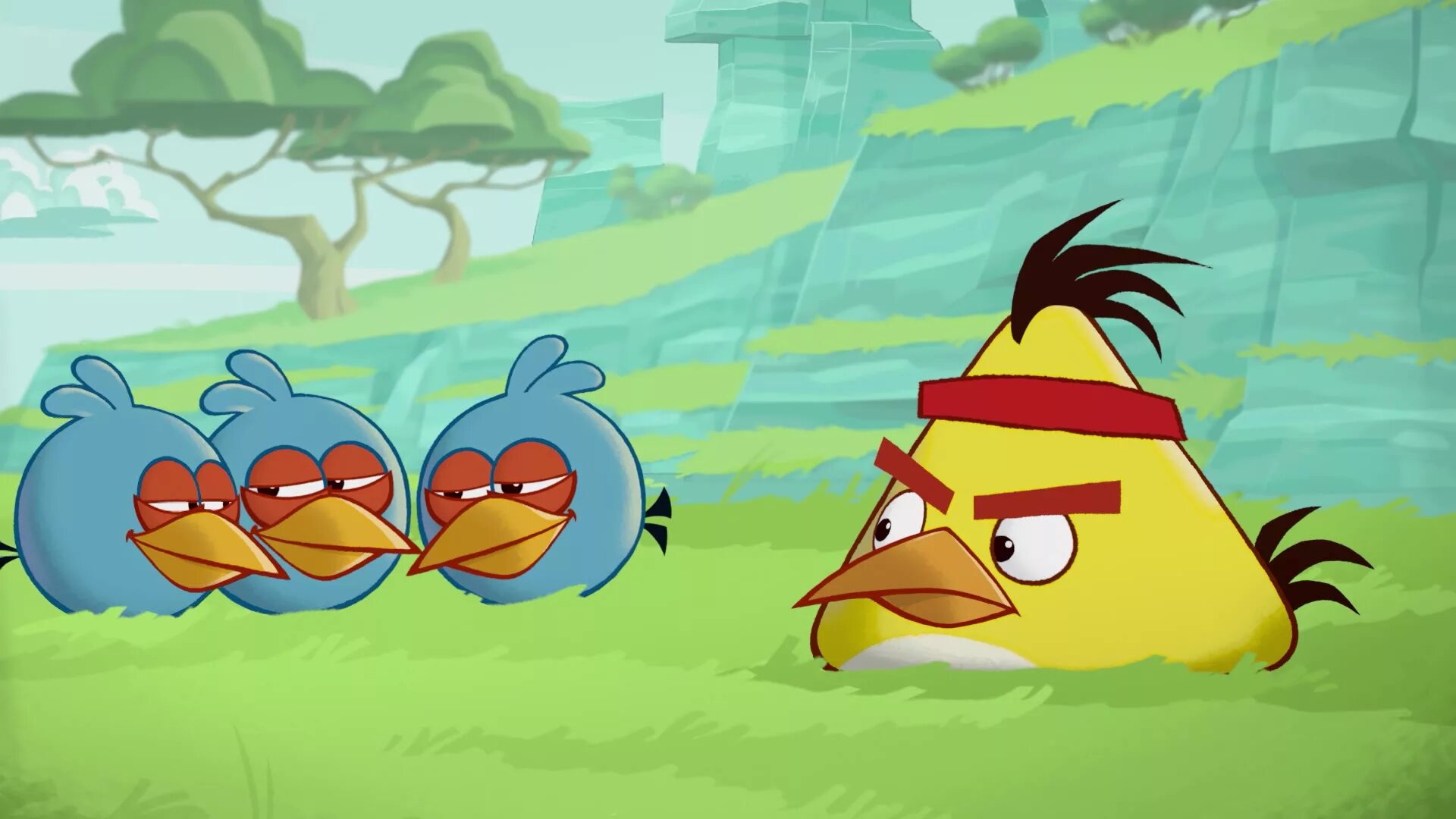 Angry birds сердитый. Angry Birds toons Чак. Злые птички (Angry Birds toons!) 2013. Angry Birds toons птицы.