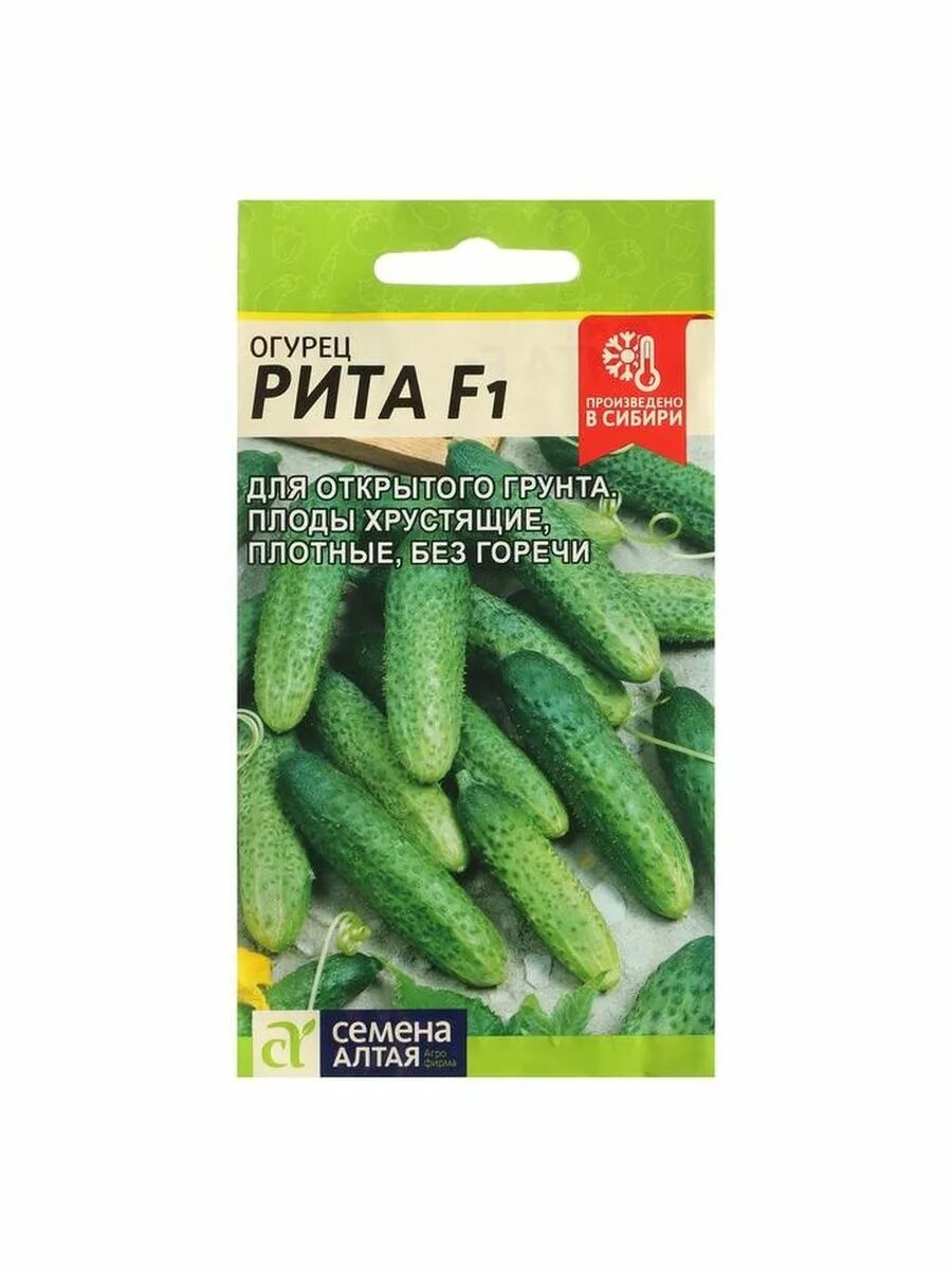 Алтай семена. Алтай семена. Бренд семян для огорода. Алтайские семена каталог. Огурец дружина f1.