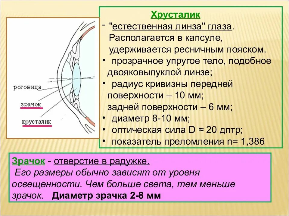 Как узнать кривизну линзы. Линзы радиус кривизны линзы 8.6. радиус кривизны передней и задней поверхности роговицы. радиус кривизны передней и задней поверхности линзы. радиус кривизны мкл.