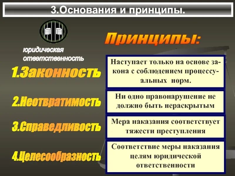 Какие виды ответственности могут наступить. Принципы правонарушения. принципы юридической ответственности. перечислите принципы юридической ответственности. принципы юридической ответственности с примерами.