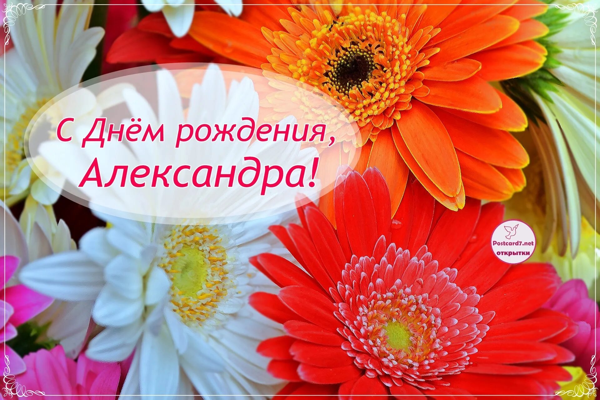 С днём рождения алексаандра. Открытки с днём рождения сашенька женщина. С днём рождения александо. С днём рождения алексаедра. Алексагдра с днём рождения.