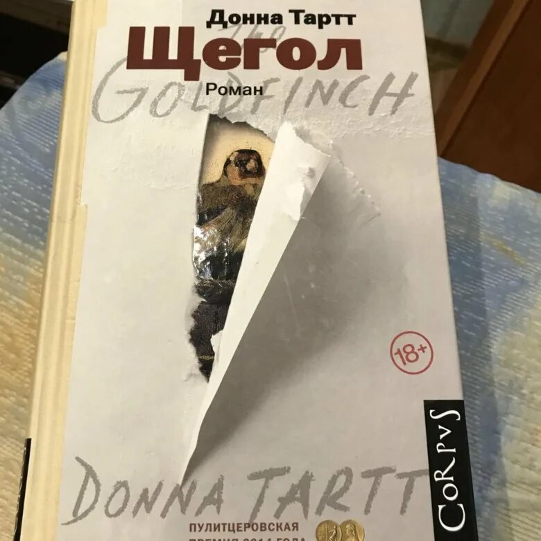 Щегол донна краткое содержание. Роман щегол тартт. книга щегол (тартт донна). донна тартт щегол аннотация. донна тартт книги по порядку.