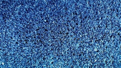 Blue grass