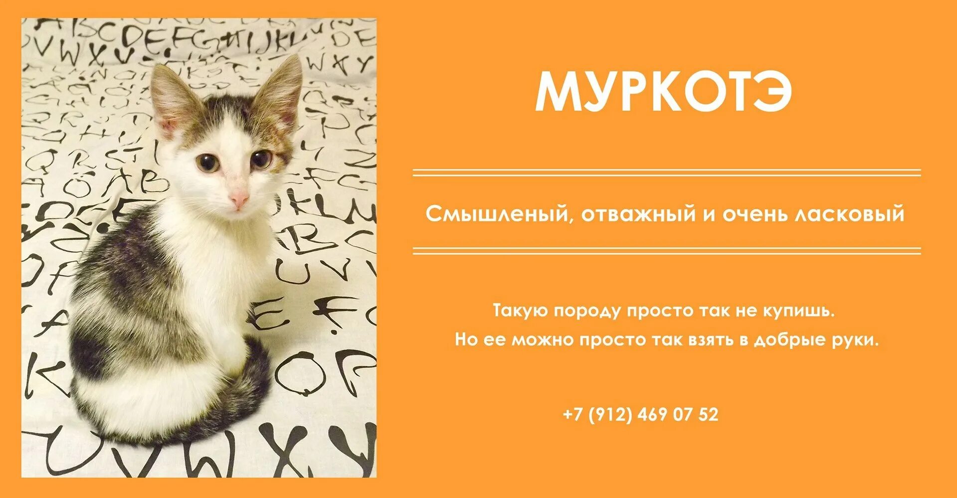 Какого зверя голыми. Муркотэ.