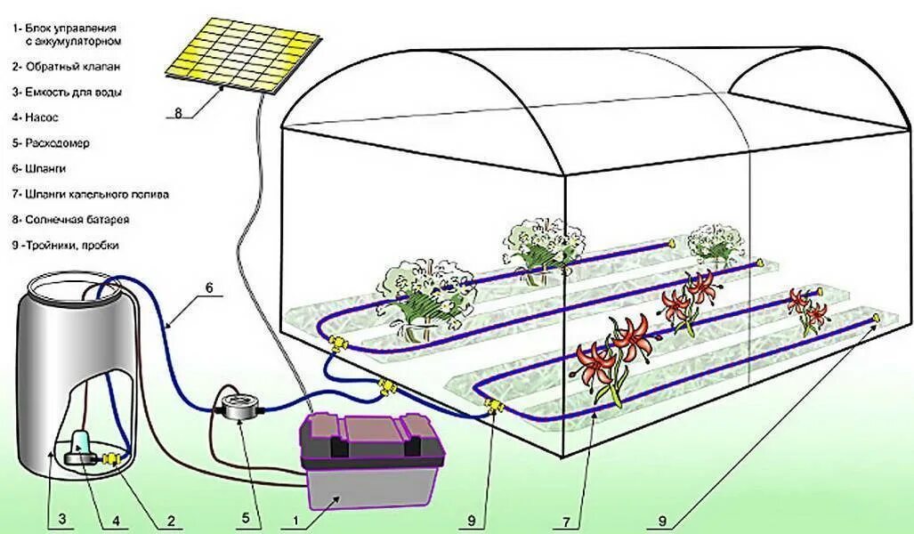 Капельный полив в теплице схема. Система капельного полива для теплицы 3х6. Схема капельного полива в теплице 3х6. Как устроен капельный полив в теплице. Автополив в теплице своими руками