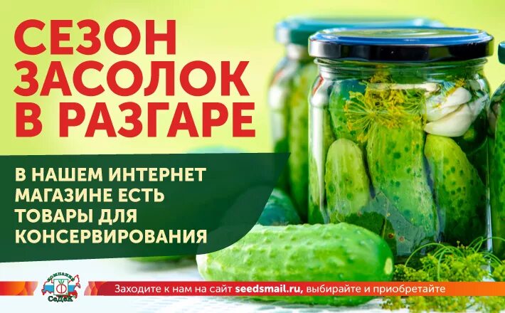 Когда солить в октябре 2025
