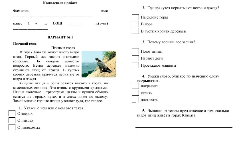 Тест по чтению 2 класс 3 четверть. Комплексная проверочная работа 1 класс. Комплексная проверочная работа 1 класс ФГОС школа. Комплексная проверочная работа за первый класс. Комплексная проверочная работа 2 класс 1 полугодие.