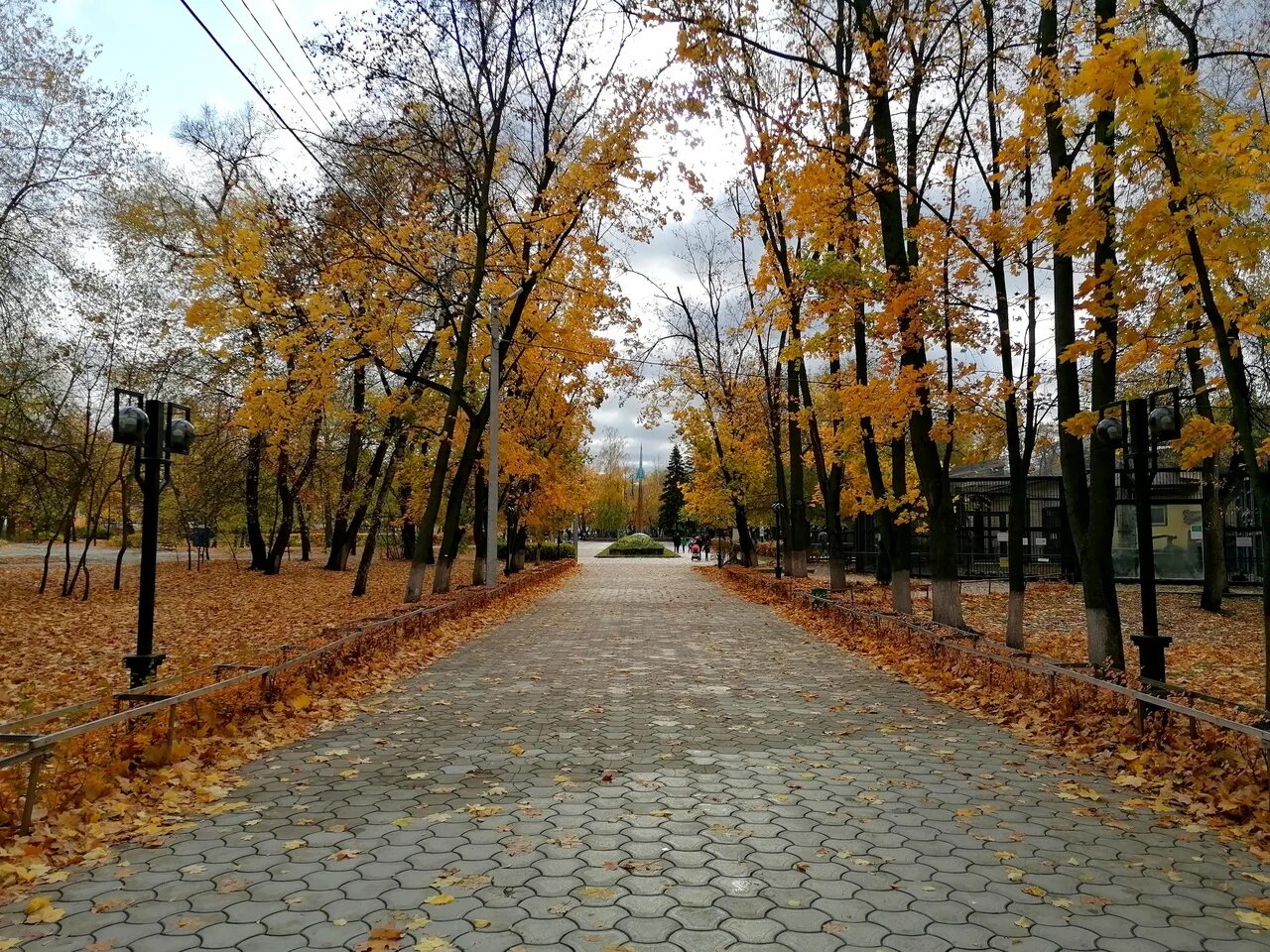 Парк Авиастроителей. Авиационный парк Воронеж. Парк Авиастроителей Воронежская область. Парк Авиастроителей — парк в г. Воронеж..