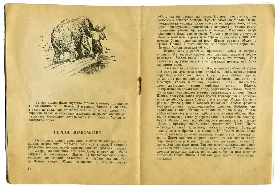 Московский зоопарк основная мысль текста. Шанго (слон). Слон Шанго в Московском зоопарке. Шанго и Молли. Слон Шанго основная мысль.