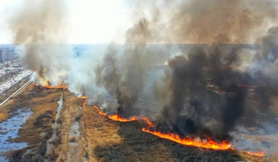 Что горело на левом берегу. Омск пожар сейчас левый берег. Пожар на левом берегу. Пожар в Омске сейчас на левом берегу. Пожар в Омске вчера на левом берегу.