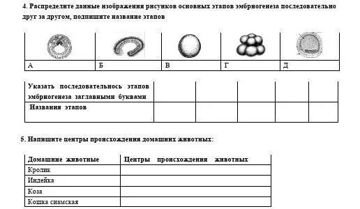 Эмбриогенез задания егэ. Этапы эмбриогенеза таблица. эмбриогенез егэ схема. стадии эмбриогенеза таблица егэ. основных этапов эмбриогенеза последовательно друг за другом.