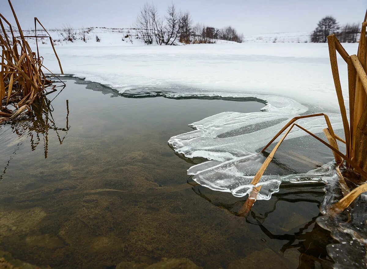 Растаяла жизнь. Замерзший водоем. Водоем зимой. Лед на реке. Пруд зимой.