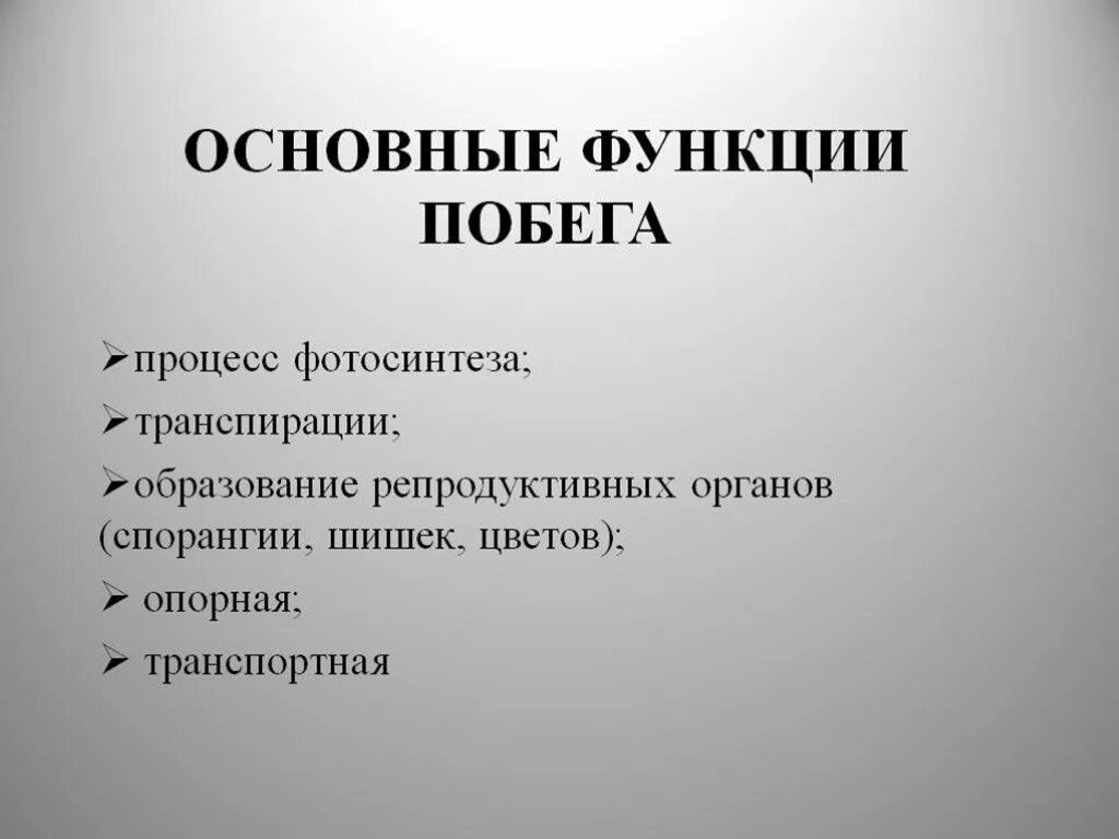 Какие функции выполняет побег. Функции побега растения. функции побега растения 5 класс. функции побега биология 6 класс кратко. основная функция побега растения.