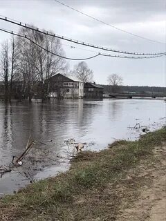 Прогноз погоды летка цгмс