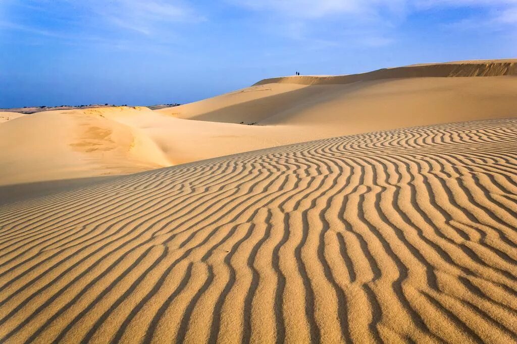 Песчаные Бугры дюны Барханы. Эоловые дюны Амур. Дюны Барханы грядовые Пески. Дюны Куба.