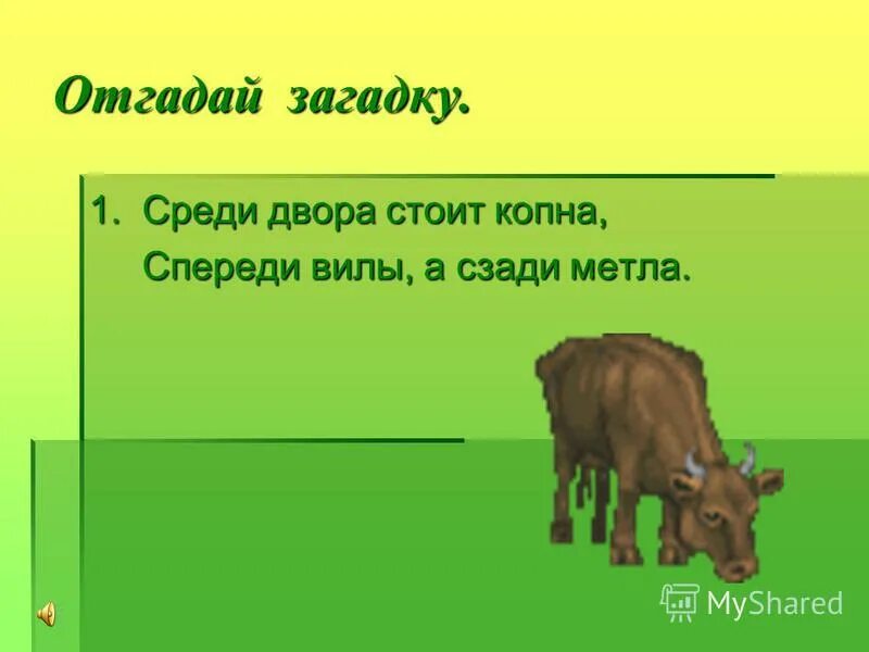 Загадка среди людей