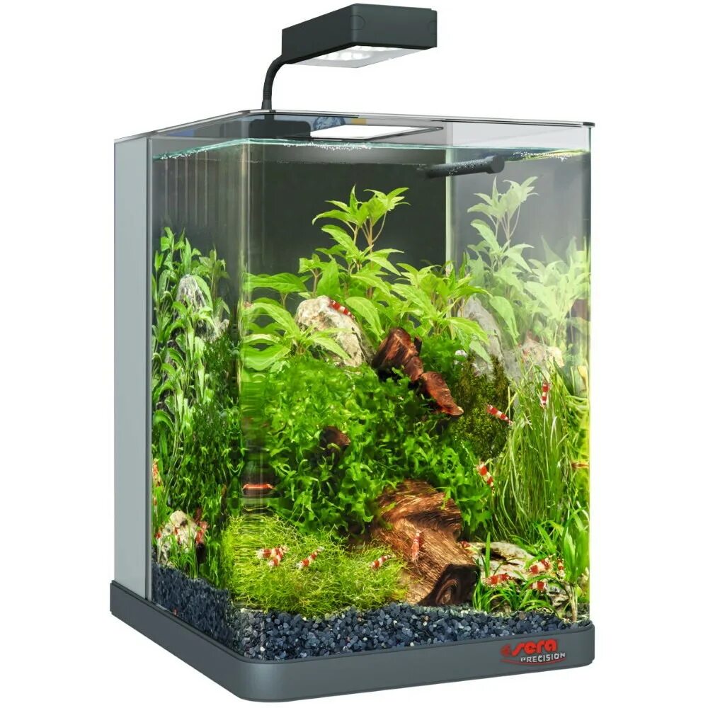 Cube 16. Аквариум Biotop Nano led Cube 16. Аквариум Sera Biotop Nano led Cube. Аквариумный набор 60 л Sera Biotop Nano led Cube 60. Пресноводный 60 л (нагреватель, фильтр, освещение) Sera Biotop Nano Cube 60.