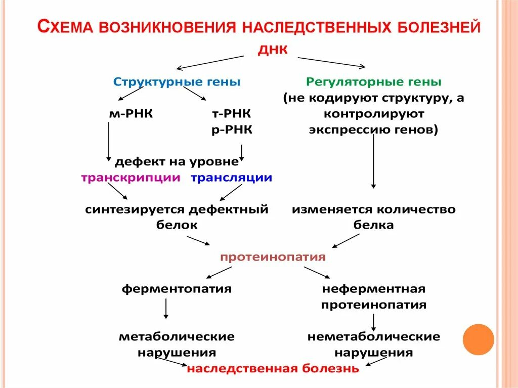 Основная причина наследственных заболеваний. Наследственные ферментопатии механизмы развития. Наследственные болезни биохимия. Наследственные и врожденные болезни. Наследственные протеинопатии.