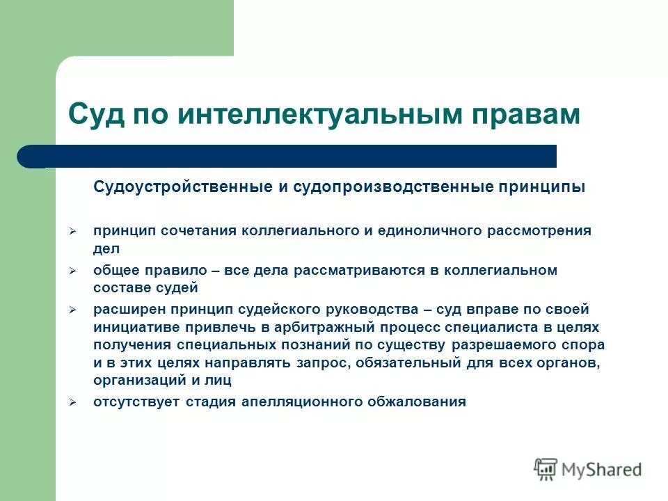 Судопроизводственные принципы. Суд по интеллектуальным правам в системе судов. Судоустройственные и судопроизводственные принципы. Суд по интеллектуальным правам структура.