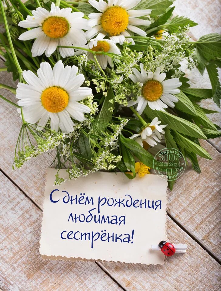 С днём рождения сестра. КС днем рождения сестре. С днём рождения сесетренка. С днём рождения снсира