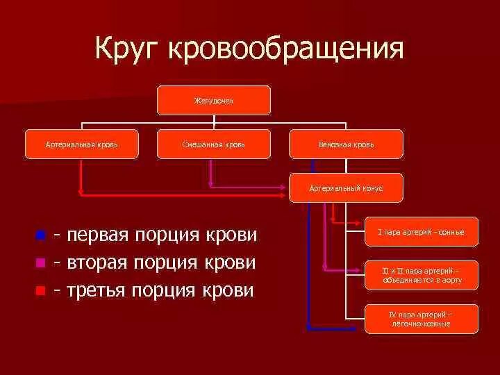 Особенность артериальной крови. Полное Разделение артериальной и венозной крови у кого. Смешанная венозная кровь. Артериальная кровь венозная кровь смешанная кровь. Артериальная венозная смешанная кровь.