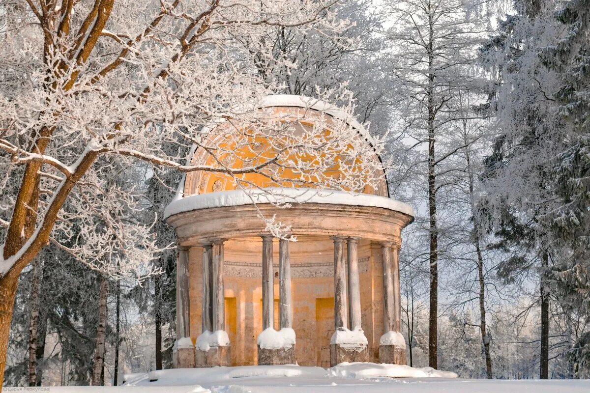 кафе на катке в парке горького. стеклянный павильон зимний сад. зим павильоны. зим павильоны. беседка с панорамными окнами зимняя.