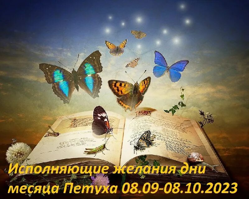 Две жизни мелодрама. Секрет (the secret: dare to dream) 2020. Верьте в мечту у нее есть приятная особенность сбываться. Поверь в мечту 2023 итоги. Поверь в мечту 2023 итоги.