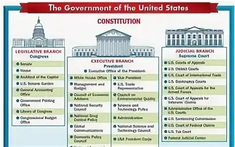 Three branches. Us government схема. The government или a government. Government in USA. USA government structure.