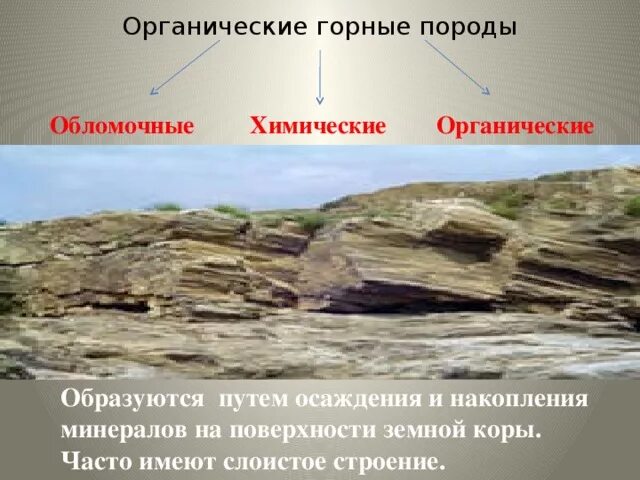 Мел осадочная горная порода. Горные породы органического происхождения. Органические горные. Торф осадочная порода. Органические горные породы образуются.