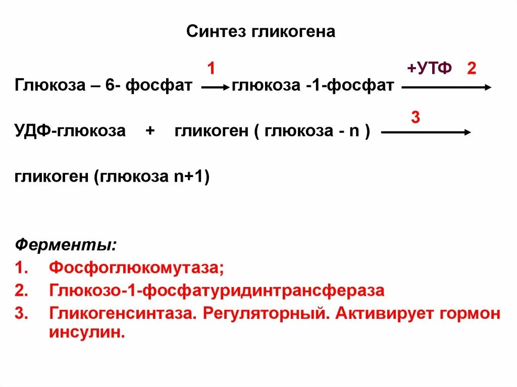 Схема синтеза гликогена из Глюкозы. Схему реакций синтеза гликогена из Глюкозы. Последовательность реакций синтеза гликогена. Синтез гликогена из Глюкозы (гликогеногенез). Глюкоген