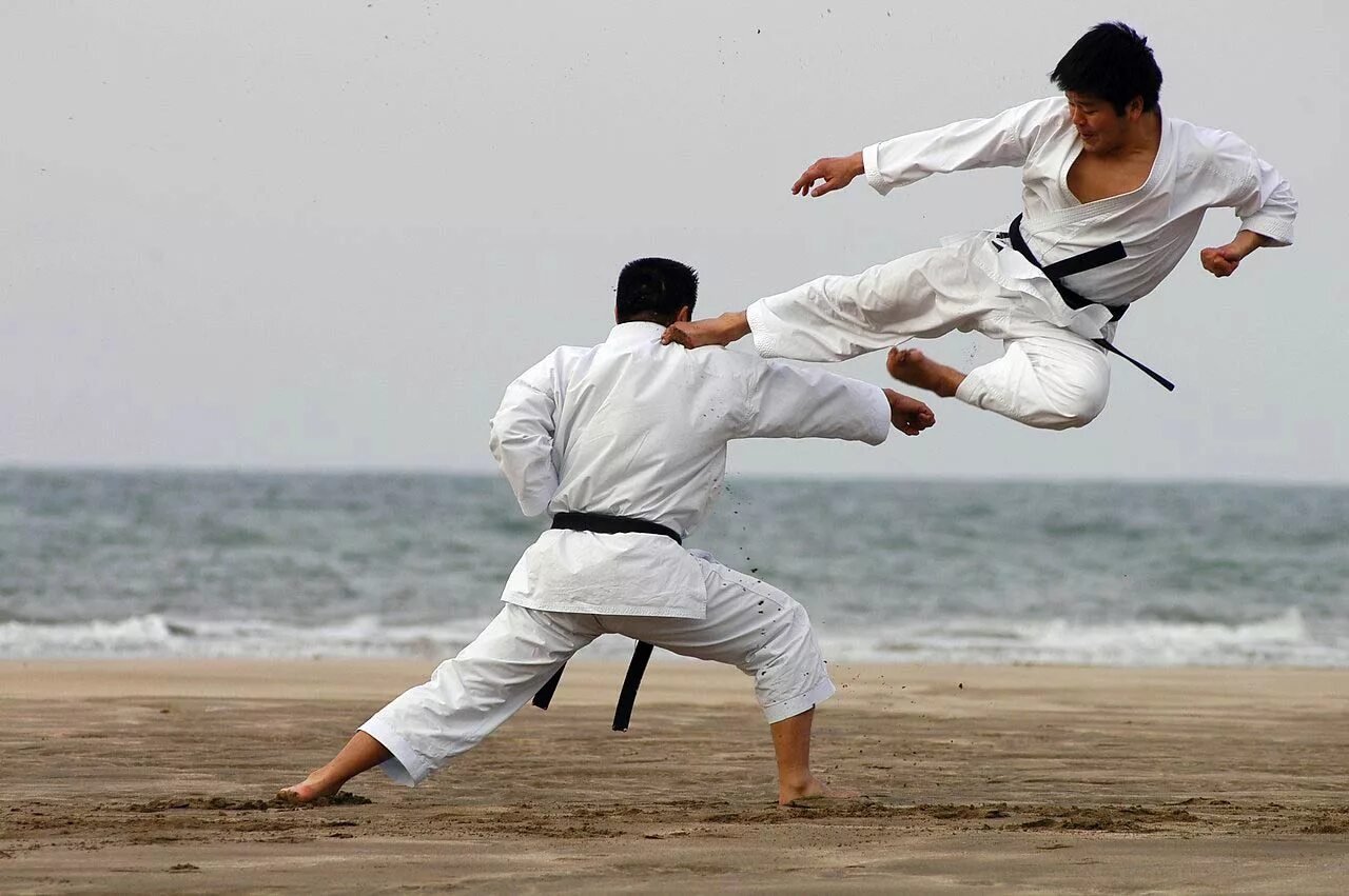 Иккен Хисацу. Карате боевые искусства Японии. Манабу Мураками карате. Йоко Тоби Гери.