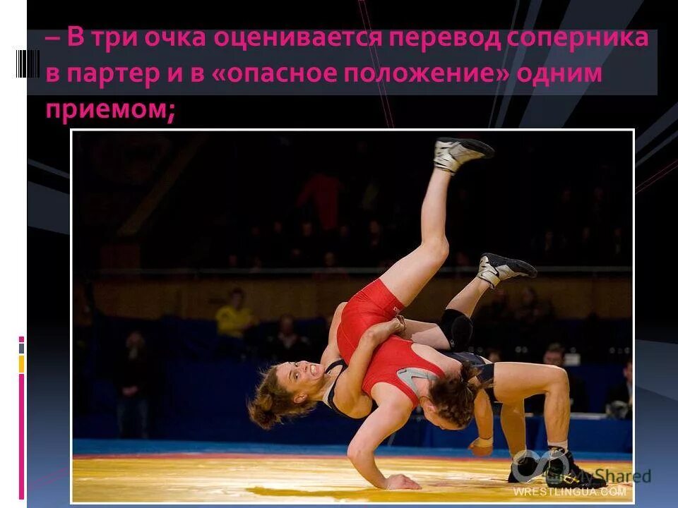 Вольная борьба партер. Греко римская борьба партер. Вольная борьба стойка в партере. Положение партер. Вольная борьба партер.