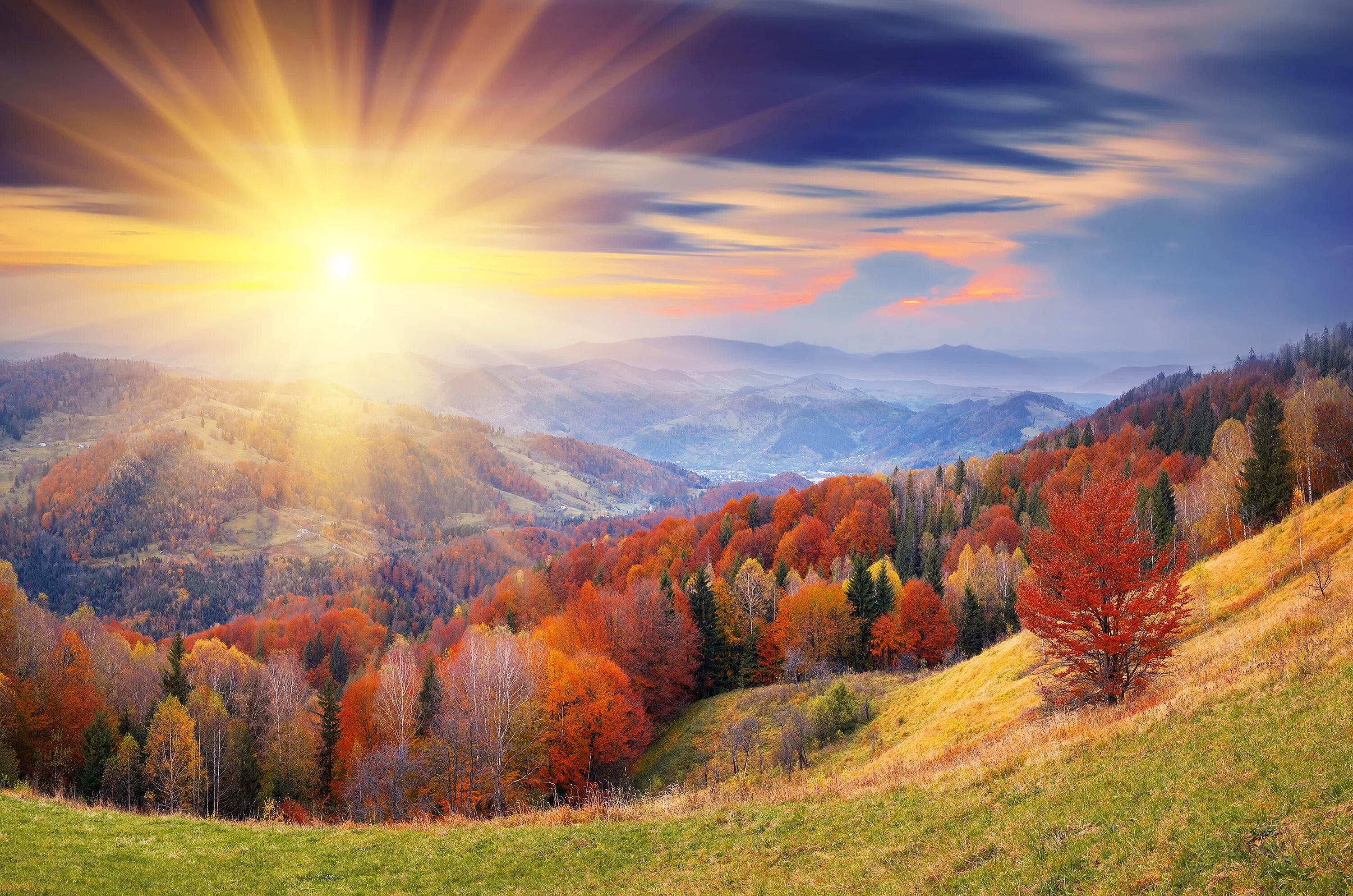 Картинка осень красивая утра. Солнечная осень. Осенняя природа. Красивая осень. Природа осень.