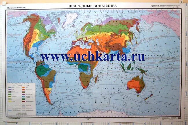 Природные зоны vbhg карта. Природные зоны земли карта. Материки и природные зоны на карте