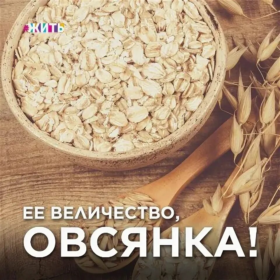 Поздравления с днем овсянки. День овсянки 29 октября картинки. День овсянки 29 октября картинки. День овсянки 29 октября. Доброе утро каша овсяная.