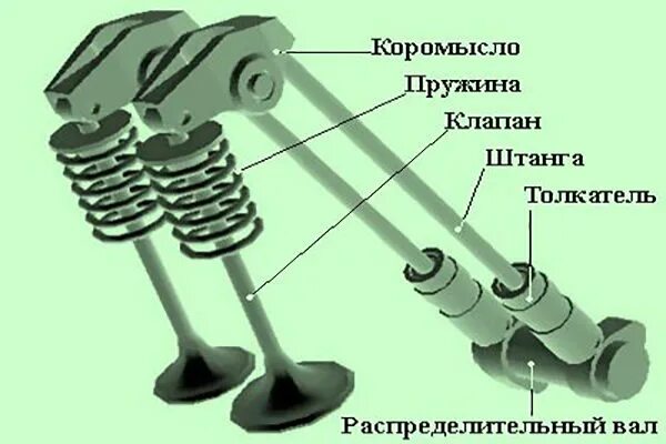 Толкатели ГРМ схема. Толкатель штанги клапана 245 ДВС. Устройство ГРМ С толкателями. Принцип работы ГРМ 16 клапанного двигателя. Клапаны в двигателе автомобиля