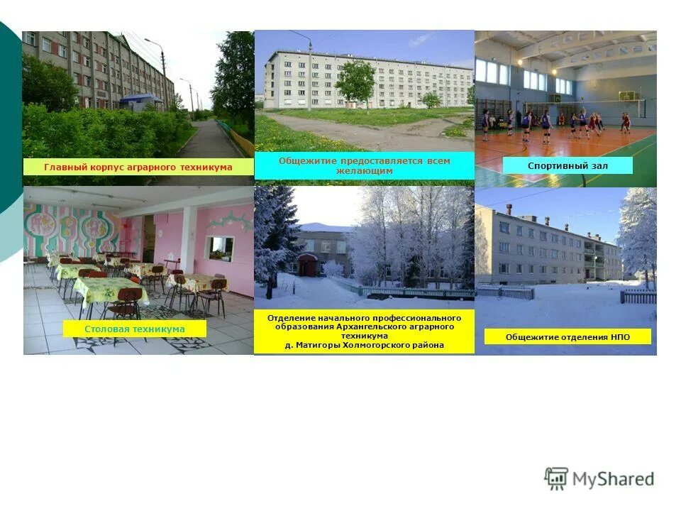 Архангельский государственный многопрофильный колледж