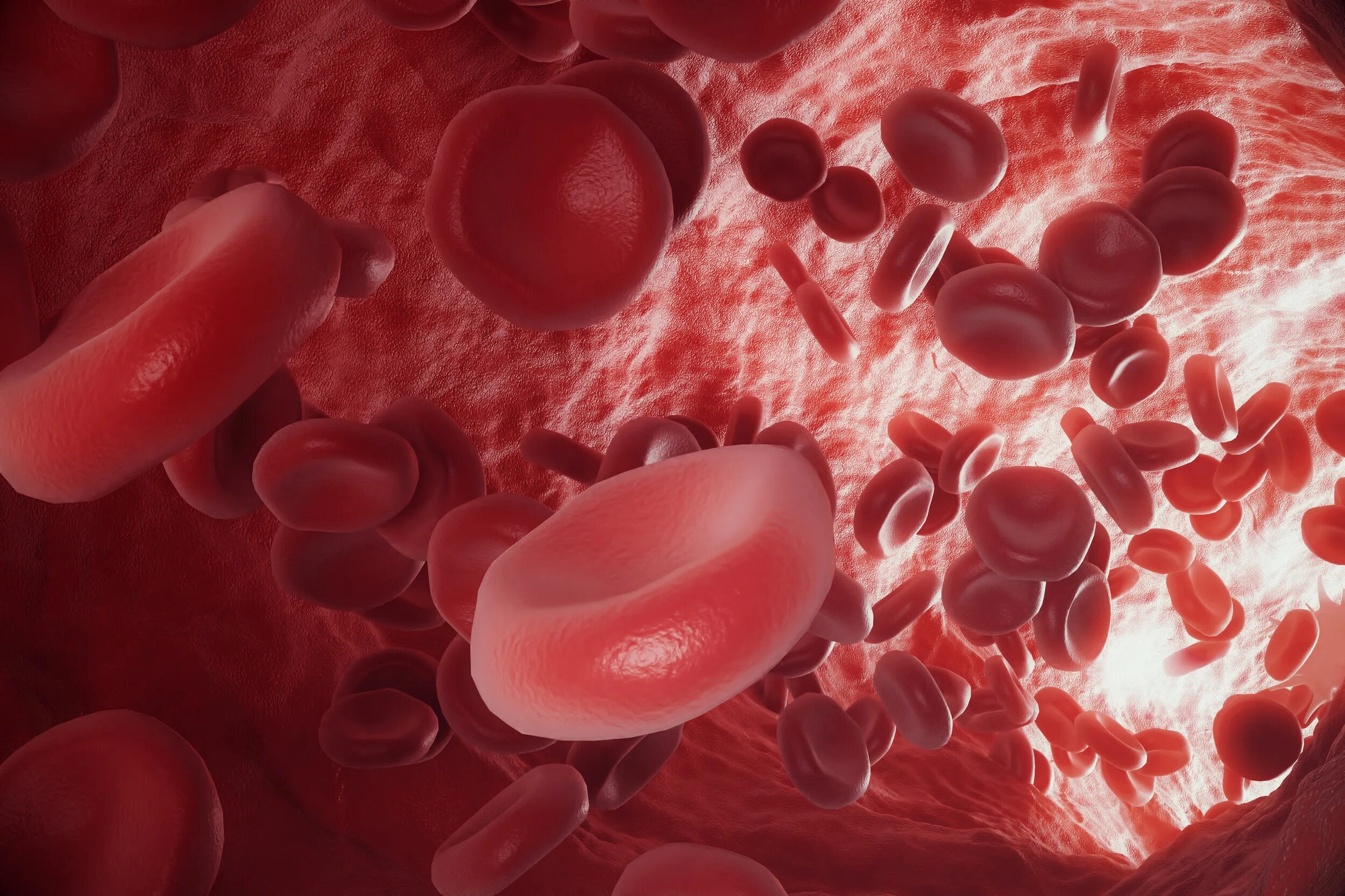 Синдром тельца. Тромбоцитопеническая пурпура. Красные кровяные тельца. Геморрагические диатезы. Геморрагические диатезы кровь.