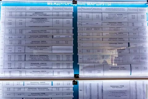 Расписание автобусов гвардейск калининград на завтра